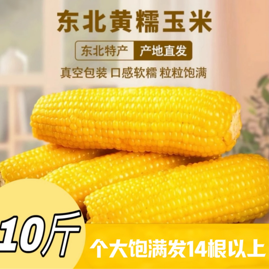 【9-10斤!】东北黄糯玉米单棒300-400g透明真空锁鲜' 试吃6根14大棒