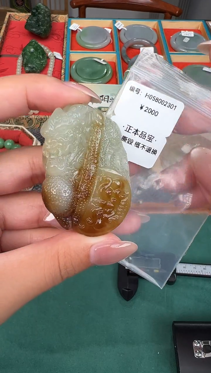 和田玉未镶嵌颈饰吊坠H