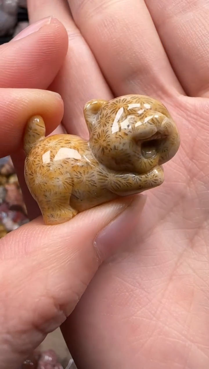 【闪购商品】硅化珊瑚（珊瑚玉）颈饰未镶嵌448