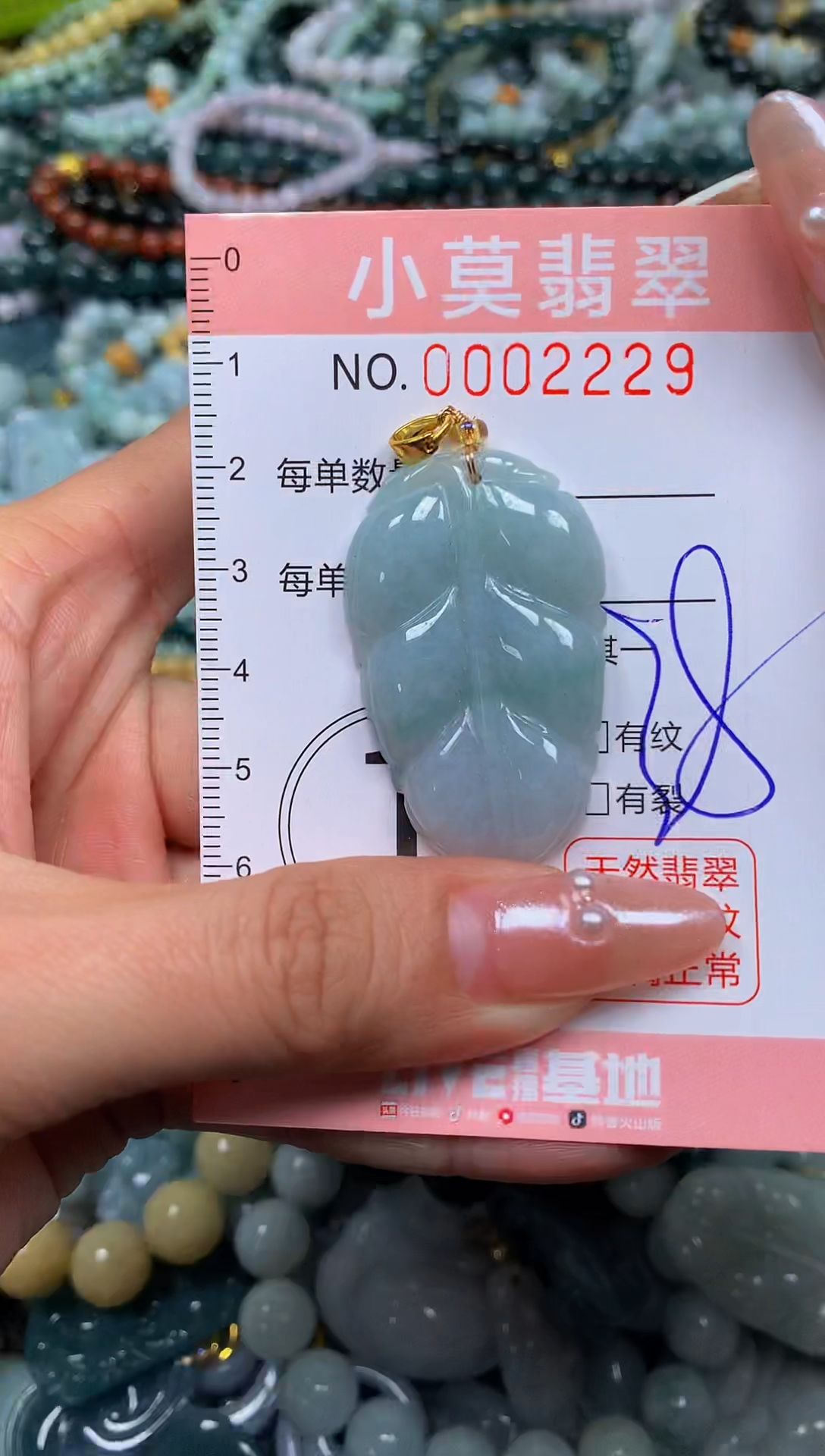 颈饰未镶嵌翡翠闪购002229