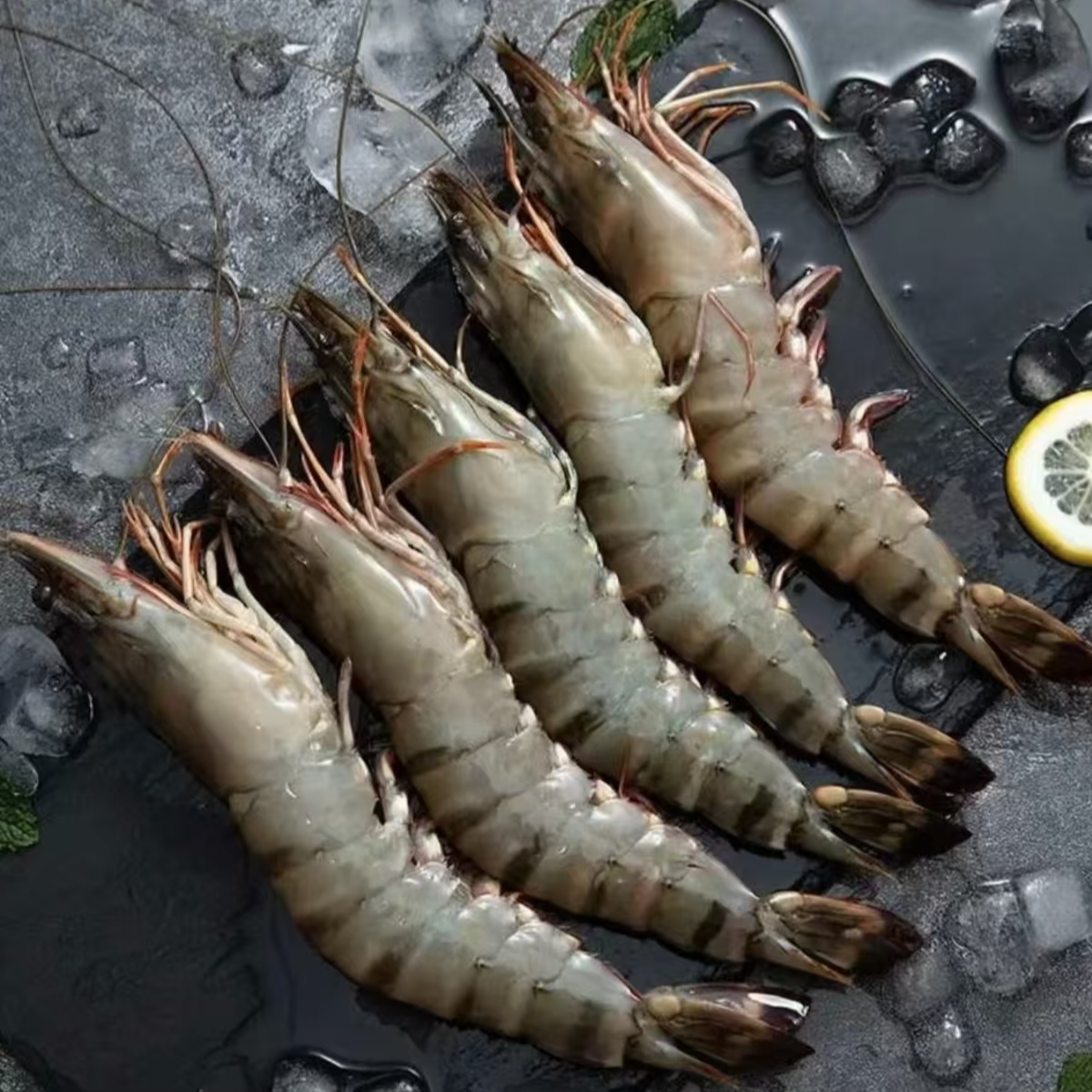 特大号黑虎虾规格 一斤10只 到手40只 冷链速冻锁鲜