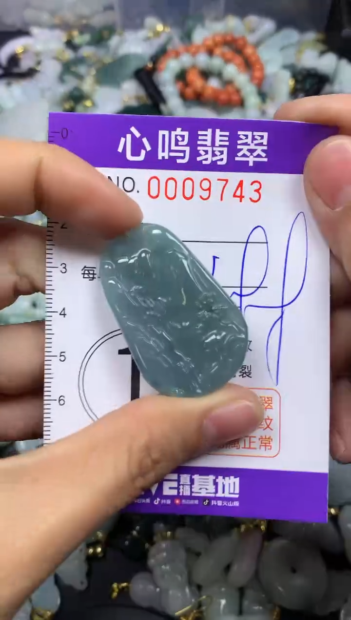 【闪购商品】翡翠颈饰未镶嵌闪购009743