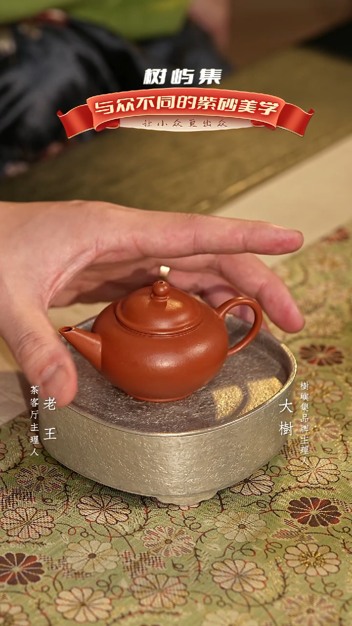 【闪购商品】紫砂茶壶树屿集x水平 原矿朱泥