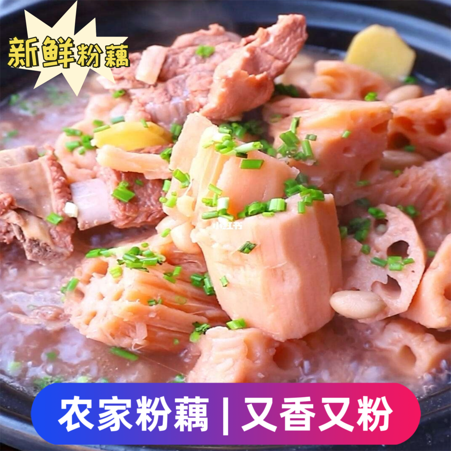新鲜现挖煲汤粉藕农家特产粉藕香藕