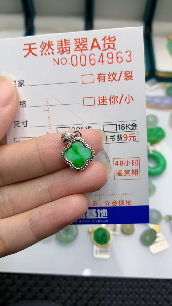 【闪购商品】翡翠颈饰银S925镶嵌            8