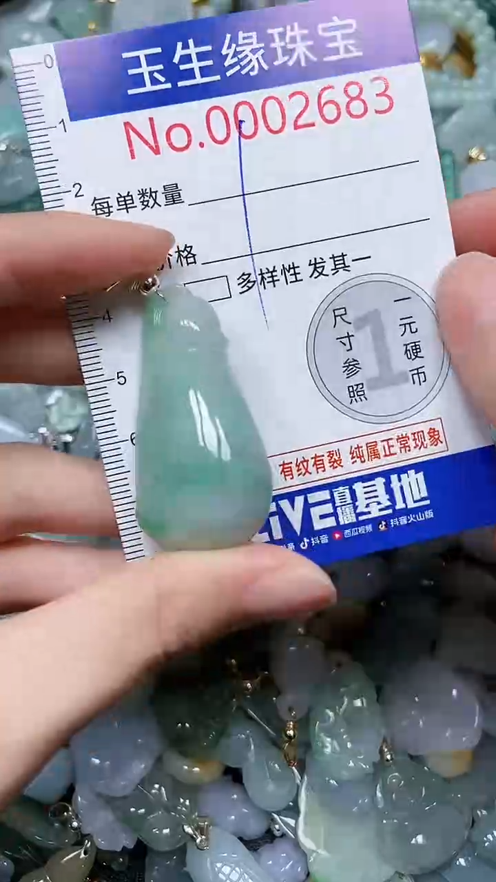 【闪购商品】翡翠颈饰未镶嵌闪购00002683