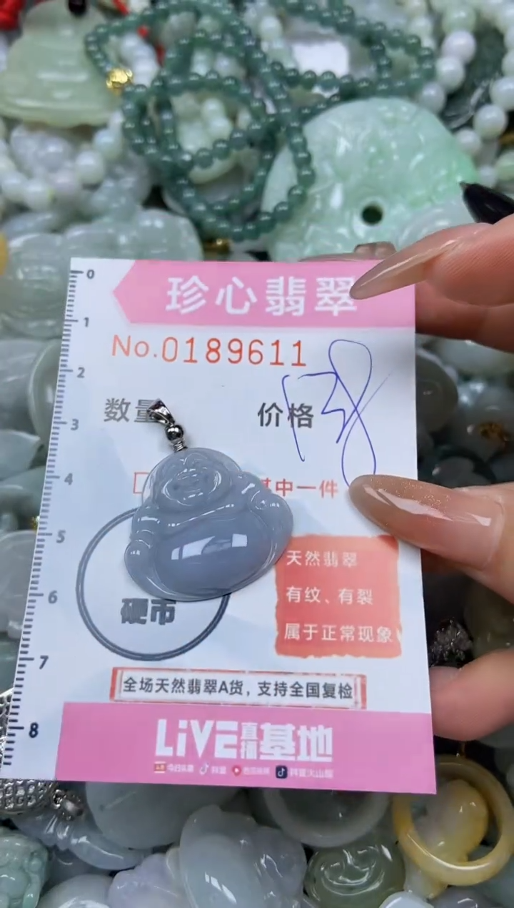 翡翠未镶嵌颈饰闪购链接0189611