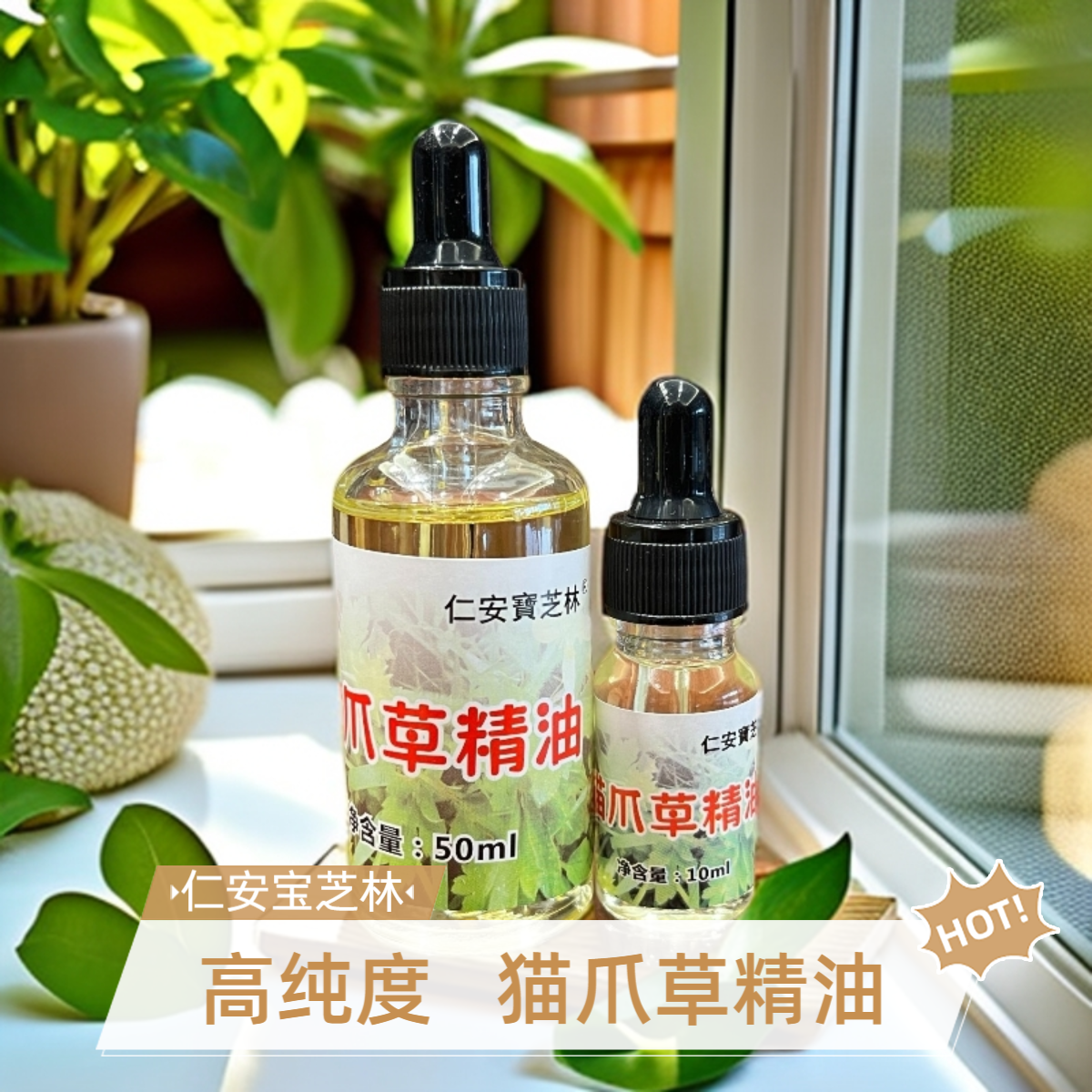 仁安宝芝林猫爪草精油高纯度精油