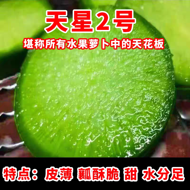 【不正宗包赔】正宗潍坊天星2号水果萝卜新鲜现挖脆甜多汁生吃爽口