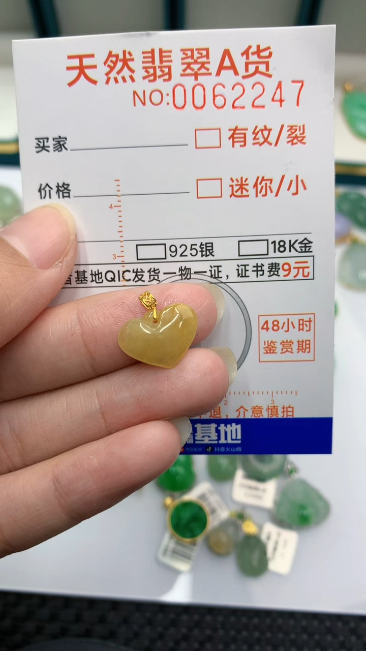 【闪购商品】翡翠颈饰18K金镶嵌            8