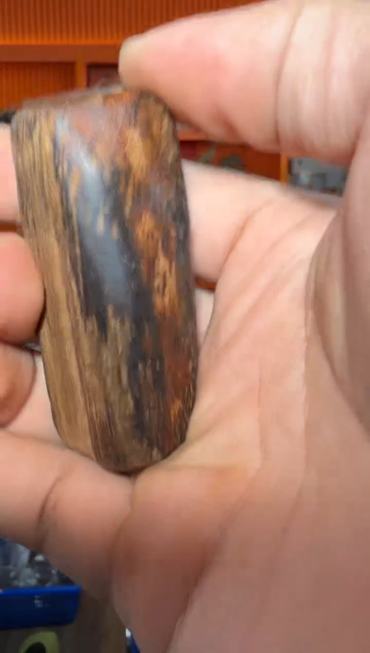 手串沉香242号多样性发一