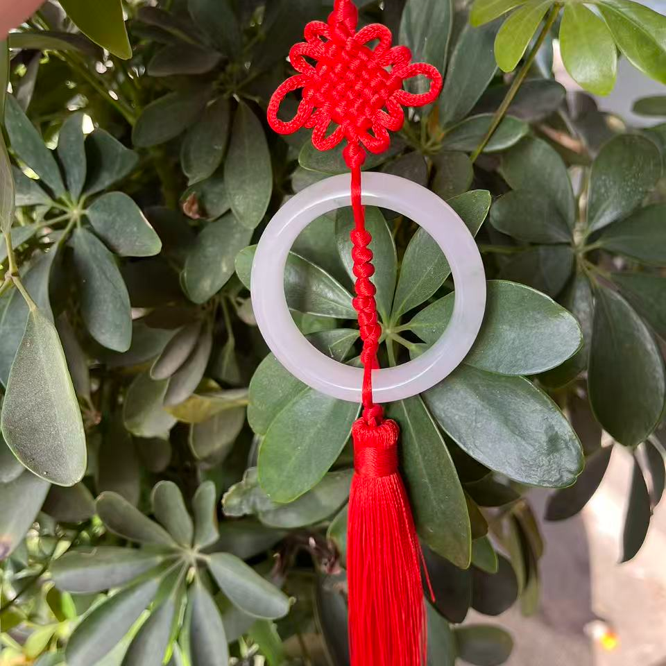 天山翠车挂DZ320多样性发其一