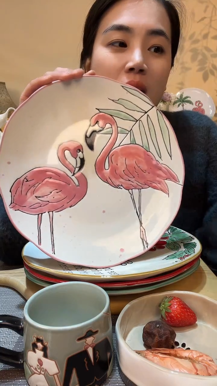 【闪购商品】瓷片10.5英寸大盘 微瑕介意勿拍