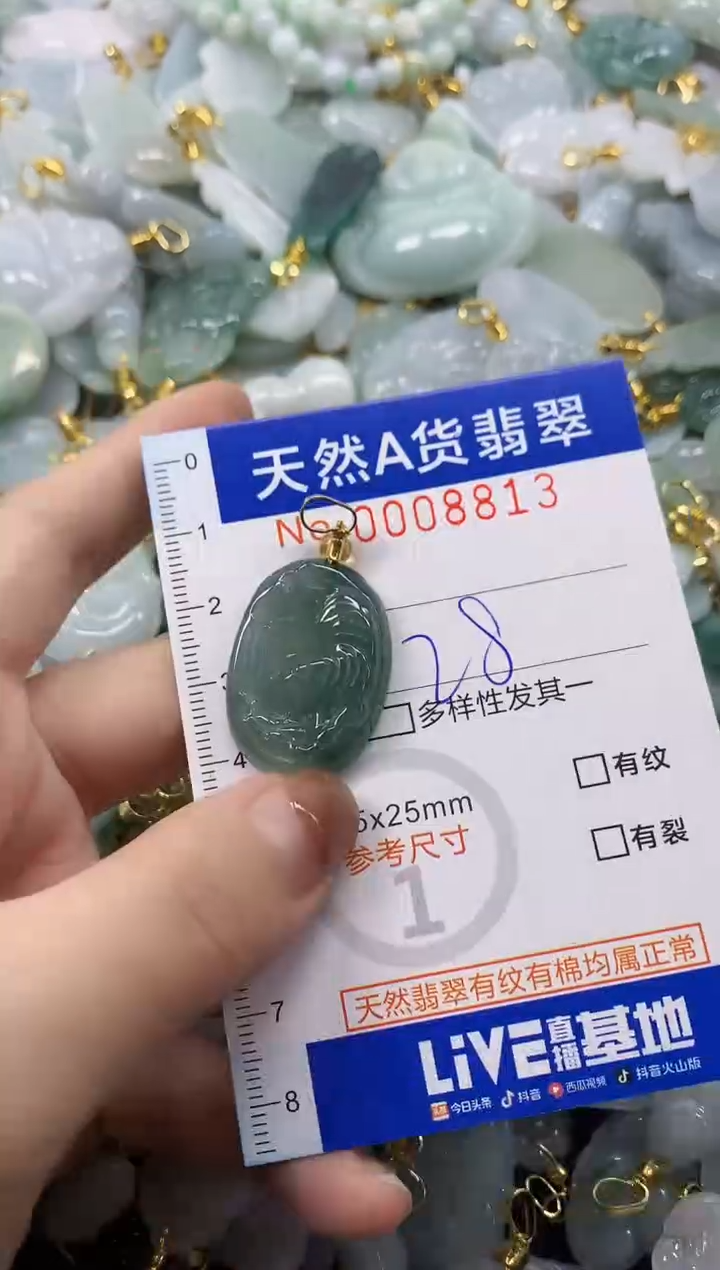 颈饰未镶嵌翡翠天然A货翡翠