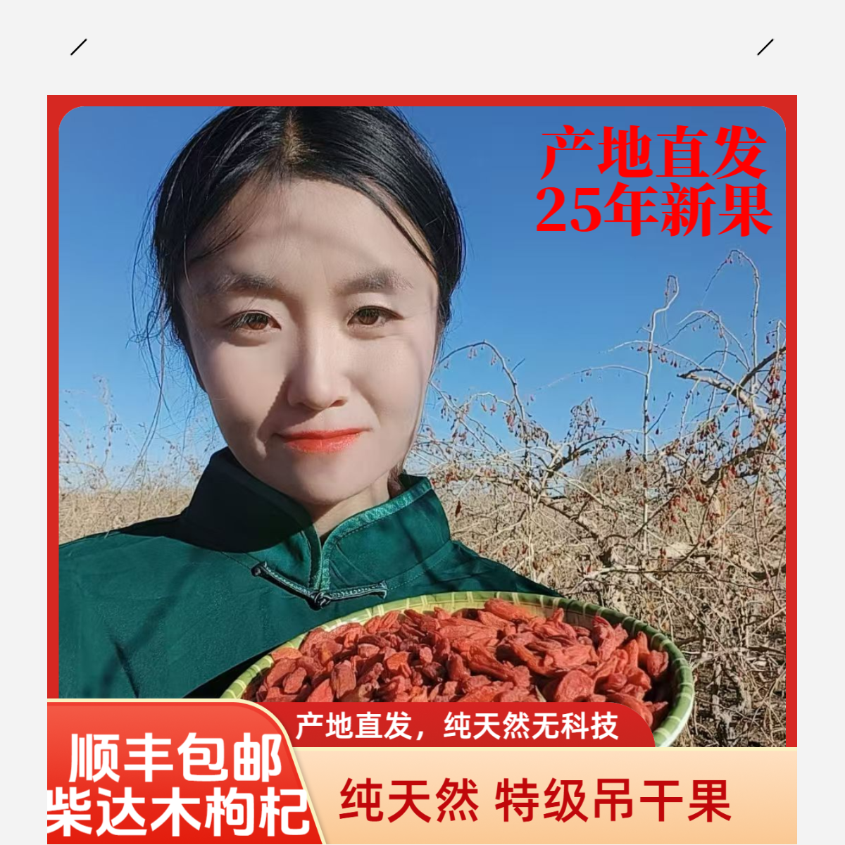 吊干特级大果高海拔柴达木煲汤干嚼泡茶无硫磺无亚钠枸杞干枸杞子