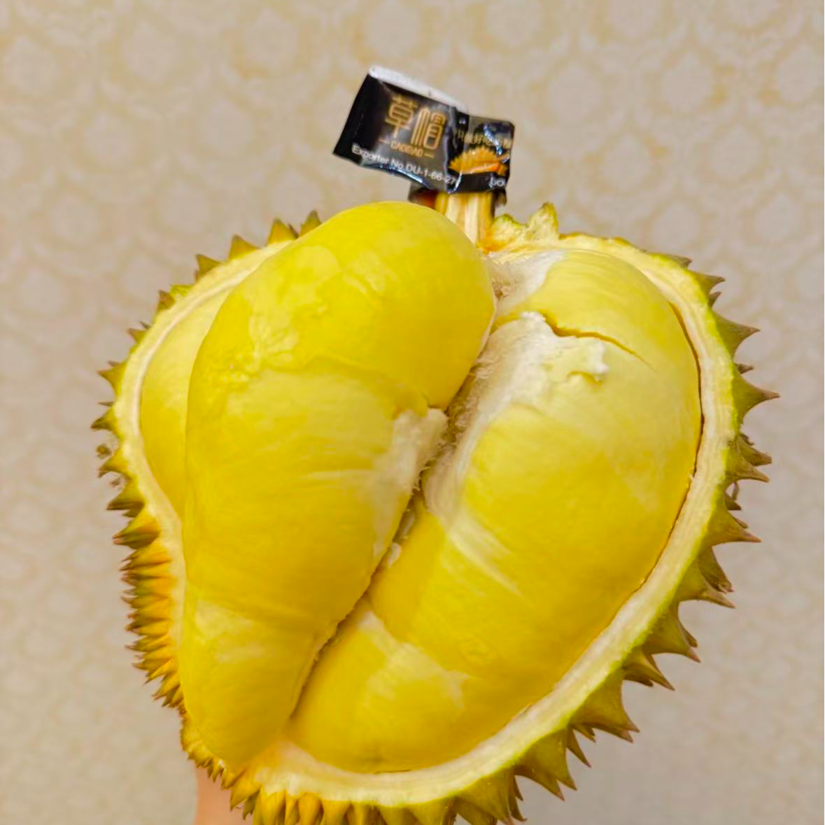 A[草帽]泰国金枕榴莲，鲜榴莲，核小，一果一重榴莲金枕泰国榴莲金枕泰国