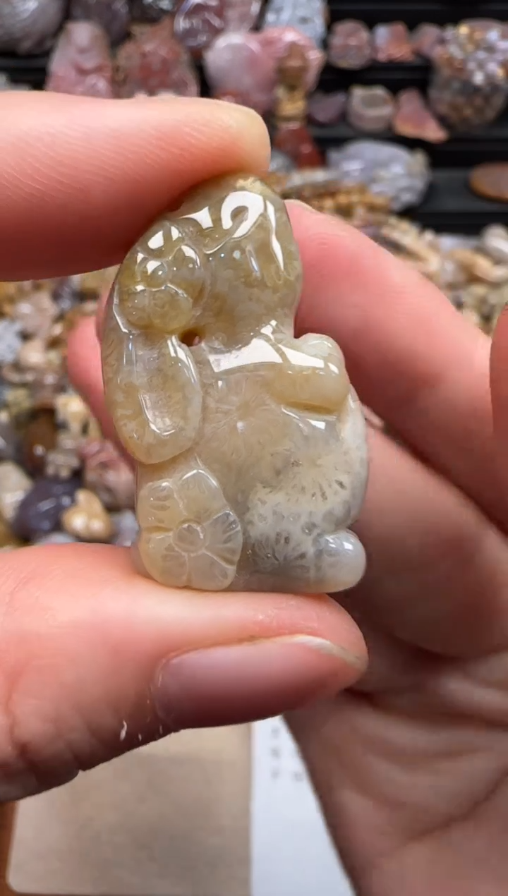 【闪购商品】硅化珊瑚（珊瑚玉）颈饰未镶嵌064