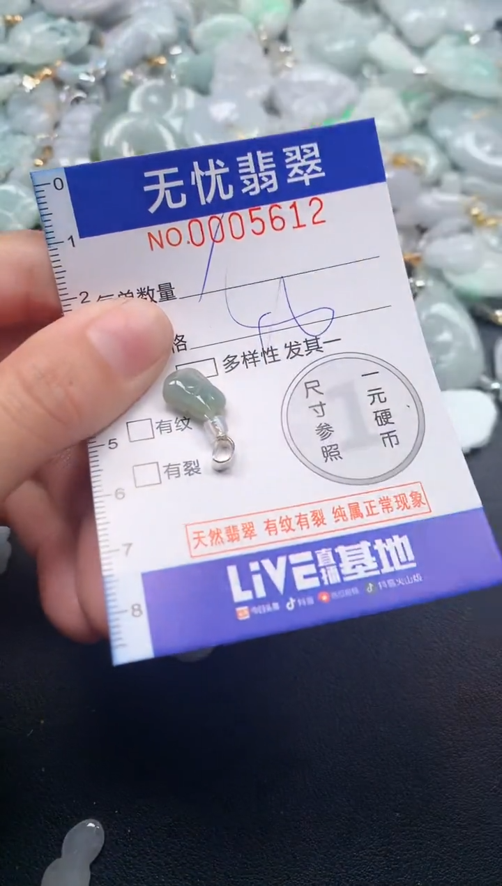颈饰未镶嵌翡翠5612