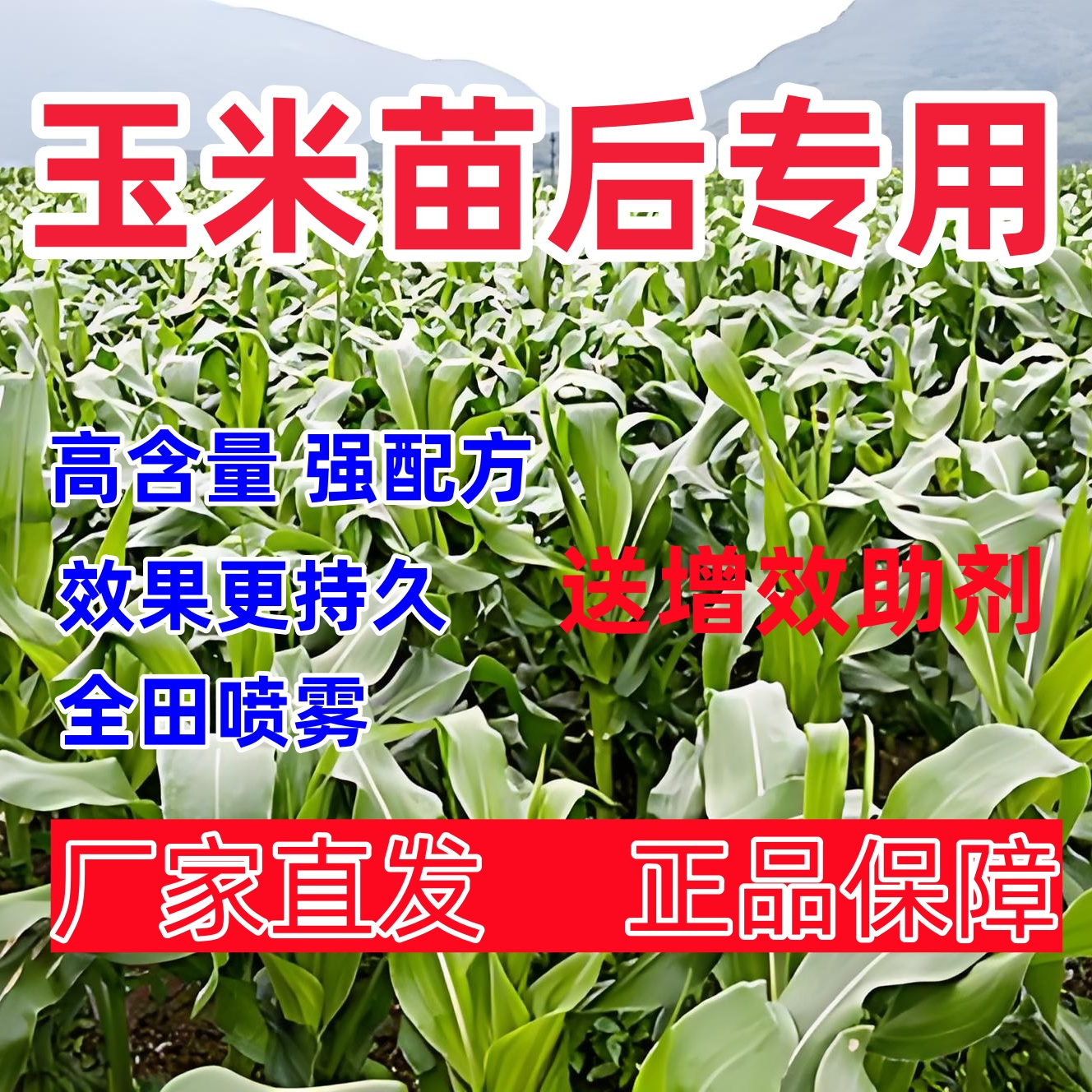 玉米苗后专用不伤玉米送增效助剂玉米农田大田玉米专用水溶喷施