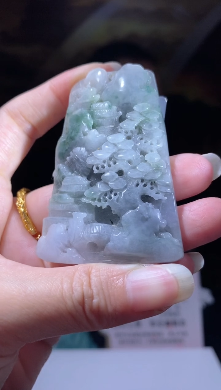 【闪购商品】翡翠颈饰未镶嵌B-@@JHZC022015