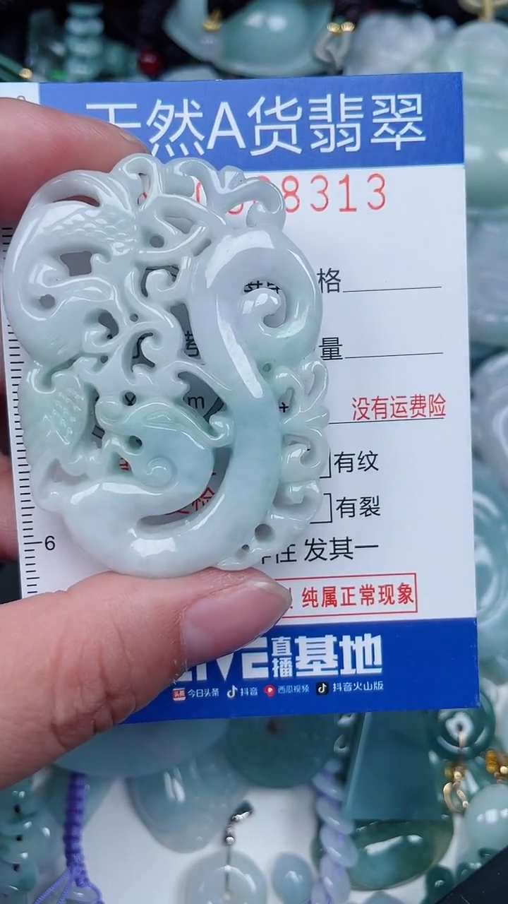 颈饰未镶嵌翡翠...0008313