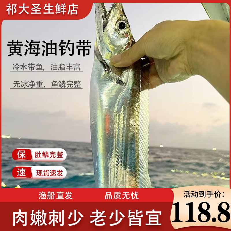  大带鱼 310g-400g左右/条 野生带鱼 带鱼七条四斤七两左右