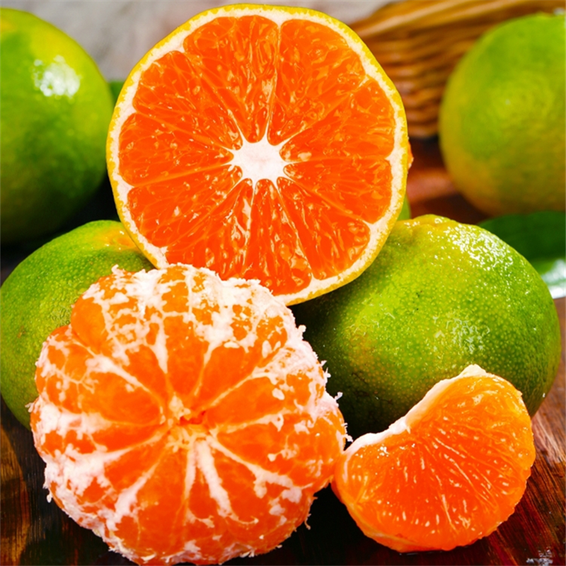 正宗高山宜昌蜜橘特早熟桔子新鲜水果9斤当季5青皮无籽孕妇整箱10