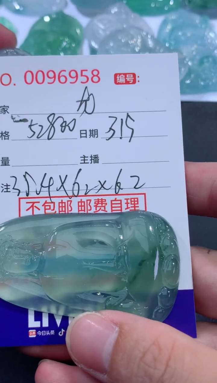 【闪购商品】翡翠未镶嵌颈饰定金2