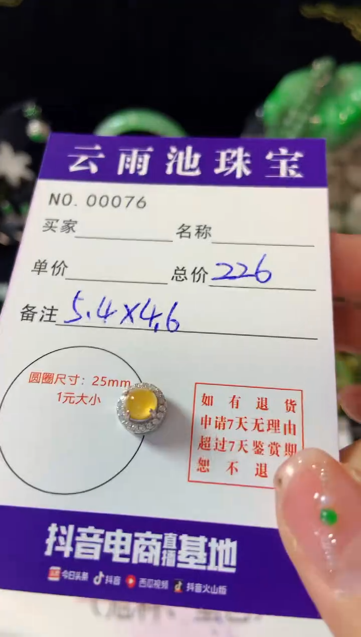 【闪购商品】翡翠颈饰银S925镶嵌翡翠