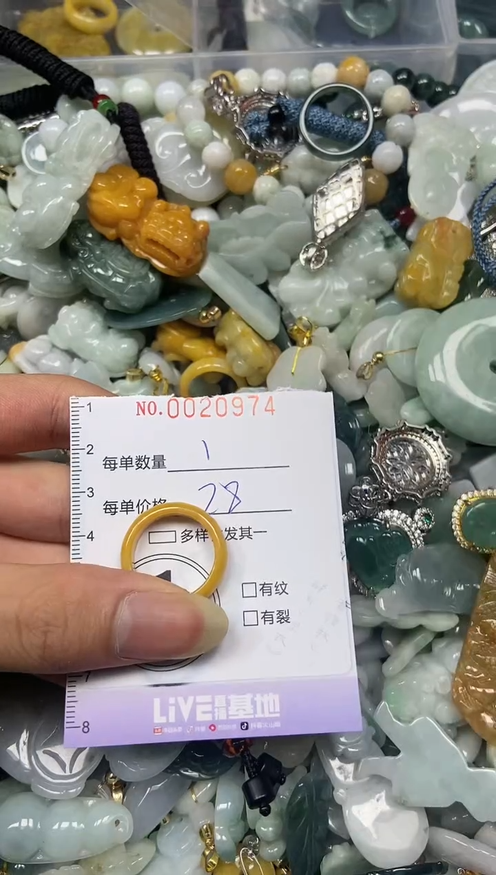 【闪购商品】翡翠颈饰未镶嵌闪购0020974