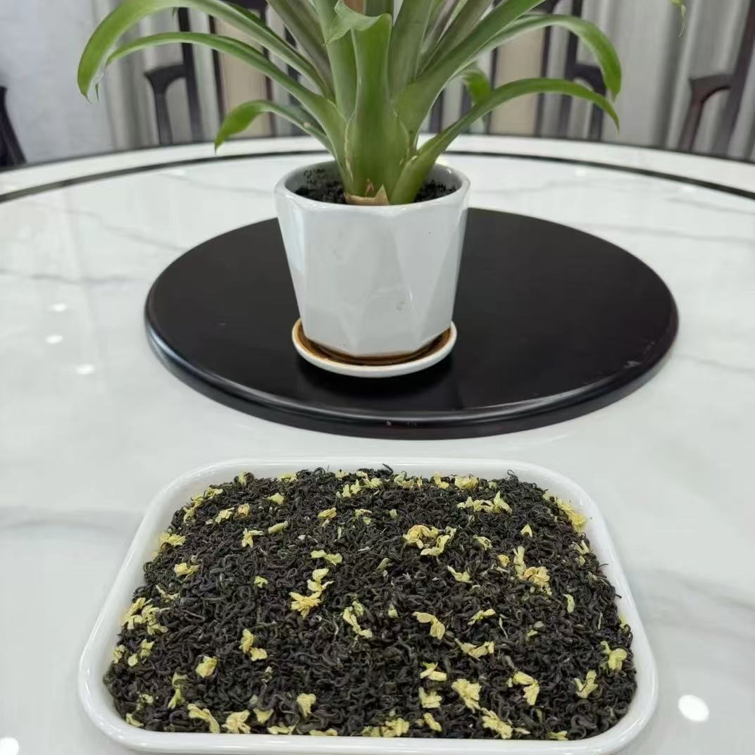 马阳甄选2025茉莉花茶茉莉飘雪浓香型