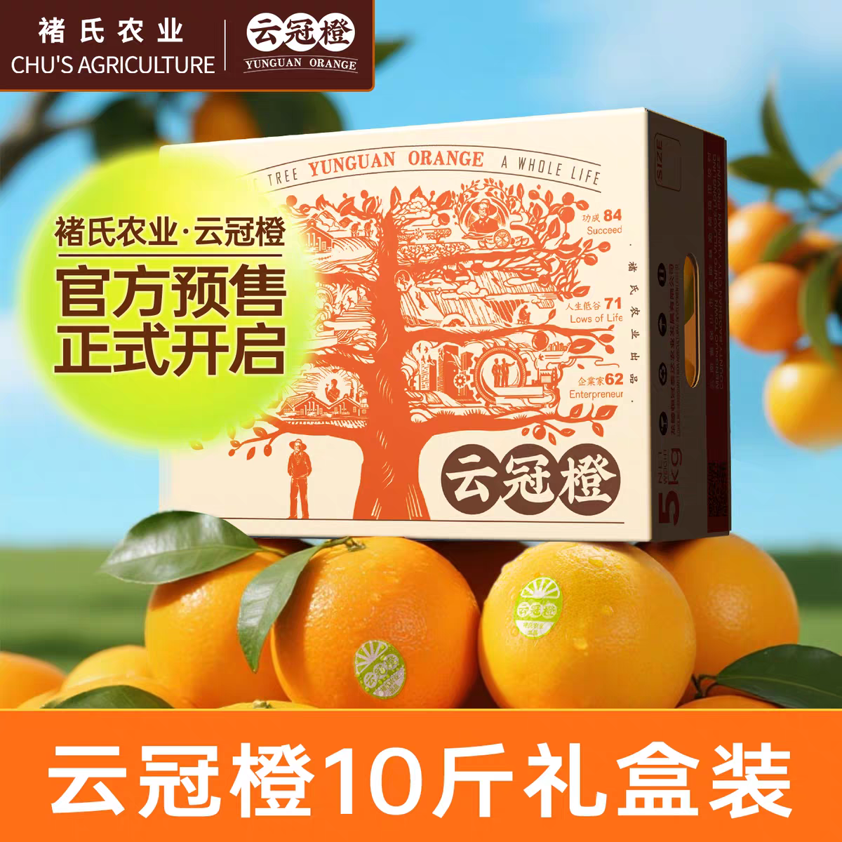 云冠橙官方正品 冰糖橙 当季新鲜水果 云冠橙礼盒装橙子