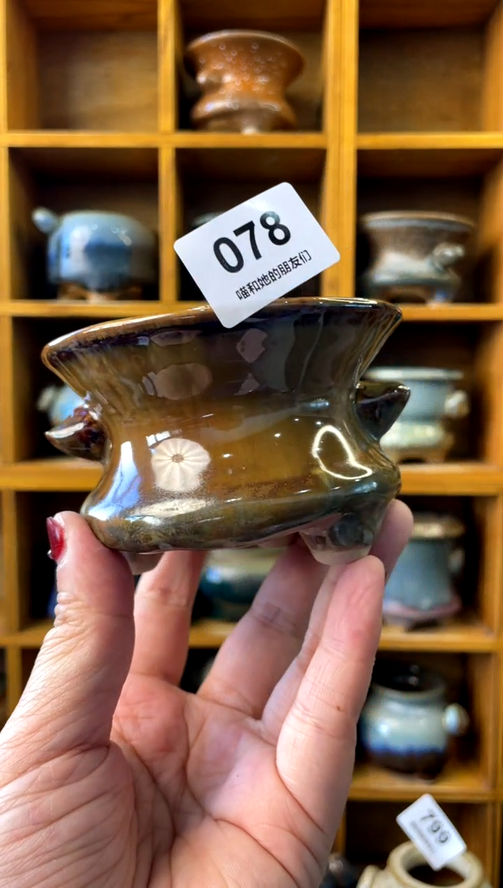 【闪购商品】陶078 内口8.5【喵喵团圆多肉盆】