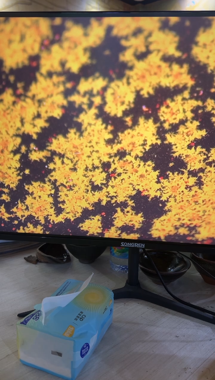 【闪购商品】茶盏1@建窑建盏金长兴