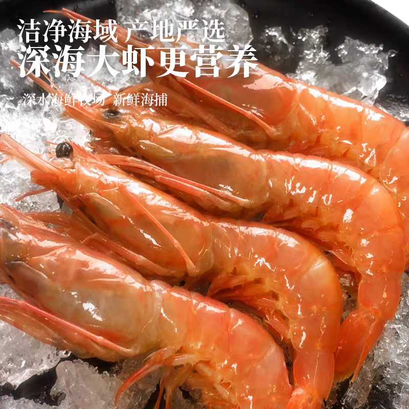 舟山本港野生红虾 三大金刺身级海虾 产地直发包邮