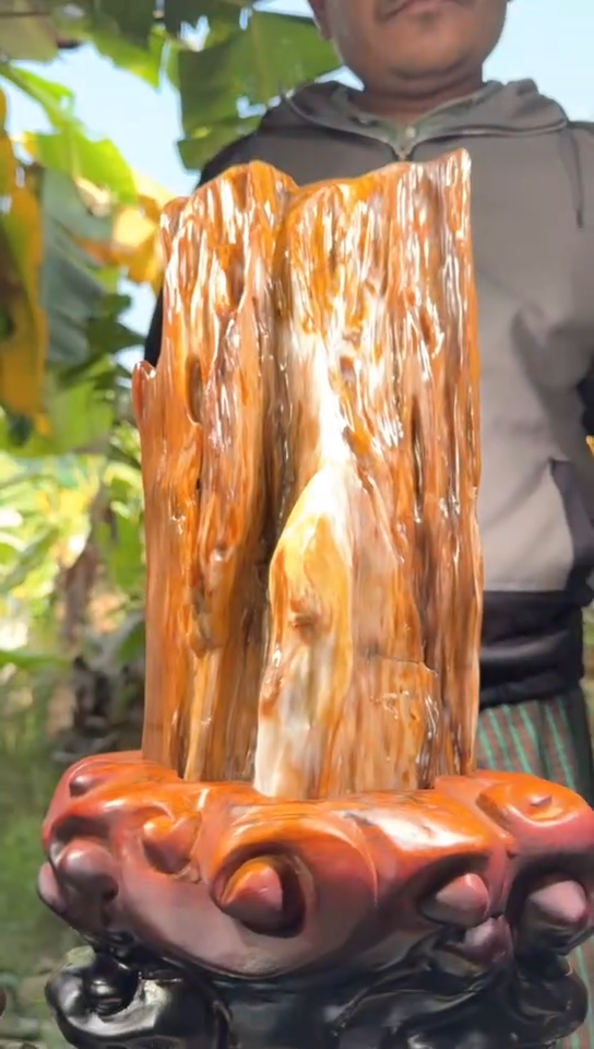 【闪购商品】硅化玉珠宝奇石未镶嵌拍一发一