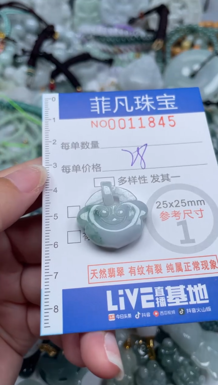 颈饰未镶嵌翡翠11845