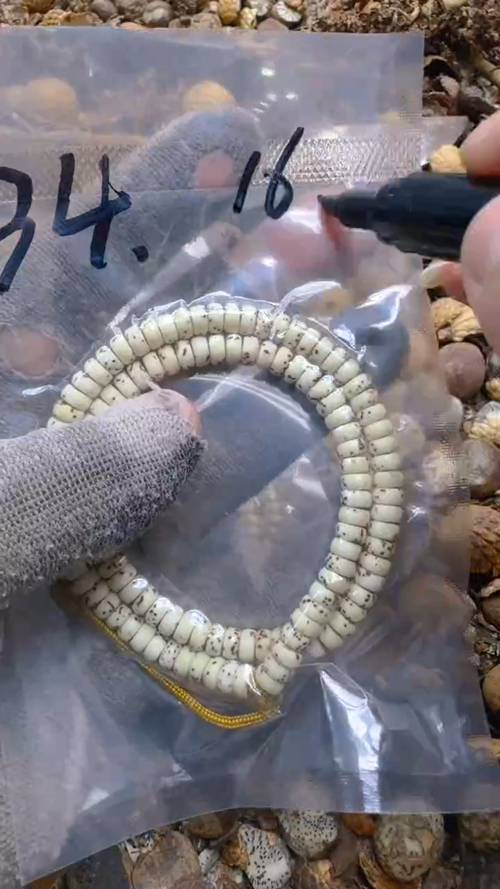 【闪购商品】星月菩提吊坠青稞手作文玩34