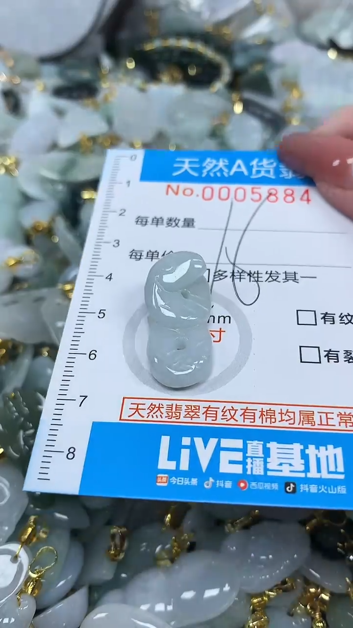 翡翠未镶嵌颈饰净货挂件-5884
