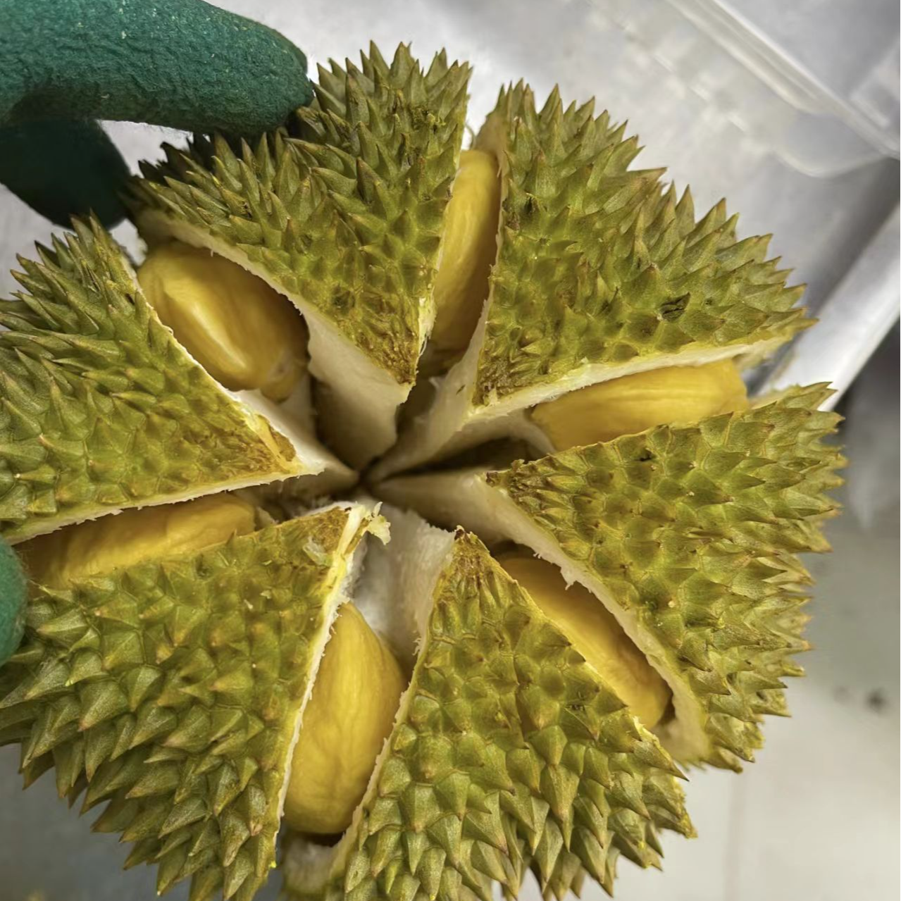 【一物一拍】昆明同城小时达 泰国空运甲仑鲜榴莲 【核大肉香】 软糯香甜 1公斤起榴莲同城送甲仑泰国