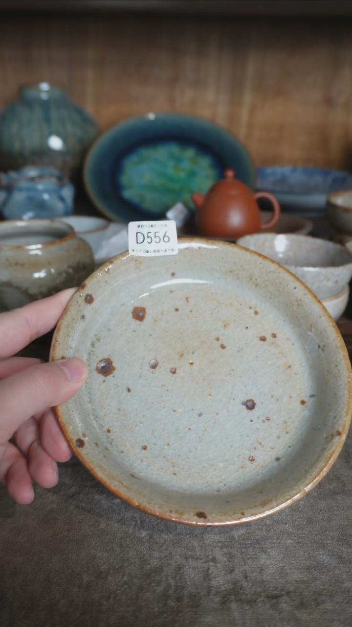 【闪购商品】D556号特价拍品，一物一拍