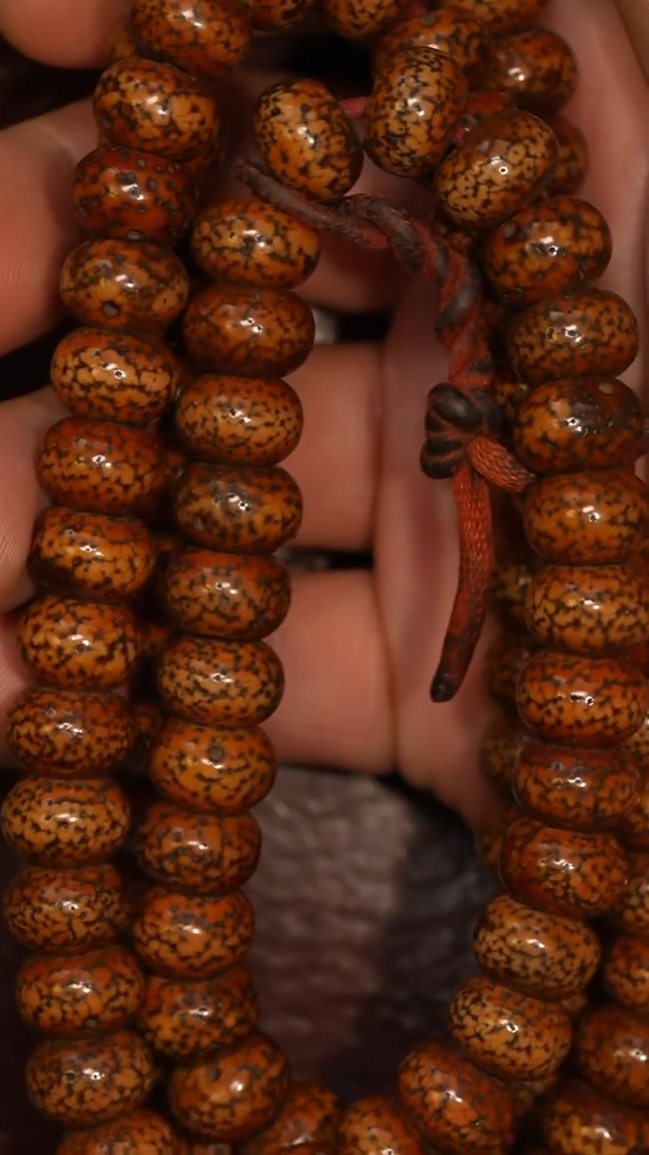 冲赛康胡子哥，藏传念珠270