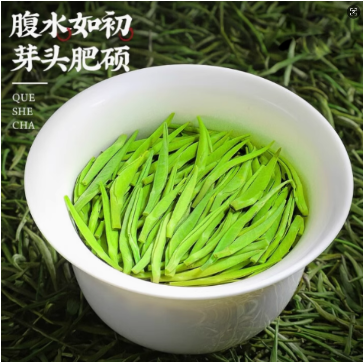 【买半斤送半斤】25年高山云雾新茶雀舌绿茶绿茶毛尖茶明前春茶