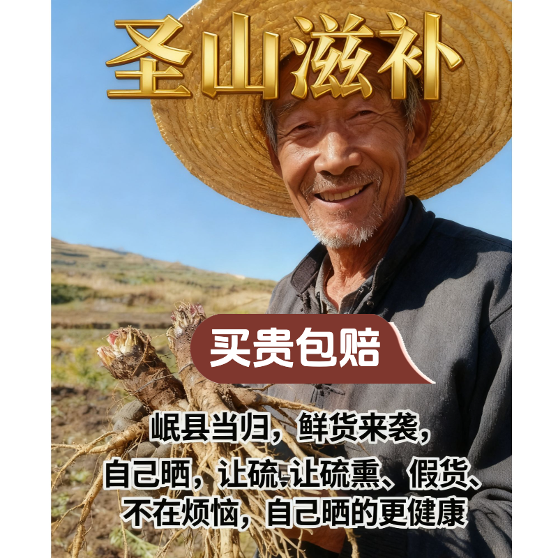 福利【鲜当归】岷县林间多年生.自然生长，山茱萸.麦冬.通园.枸杞.