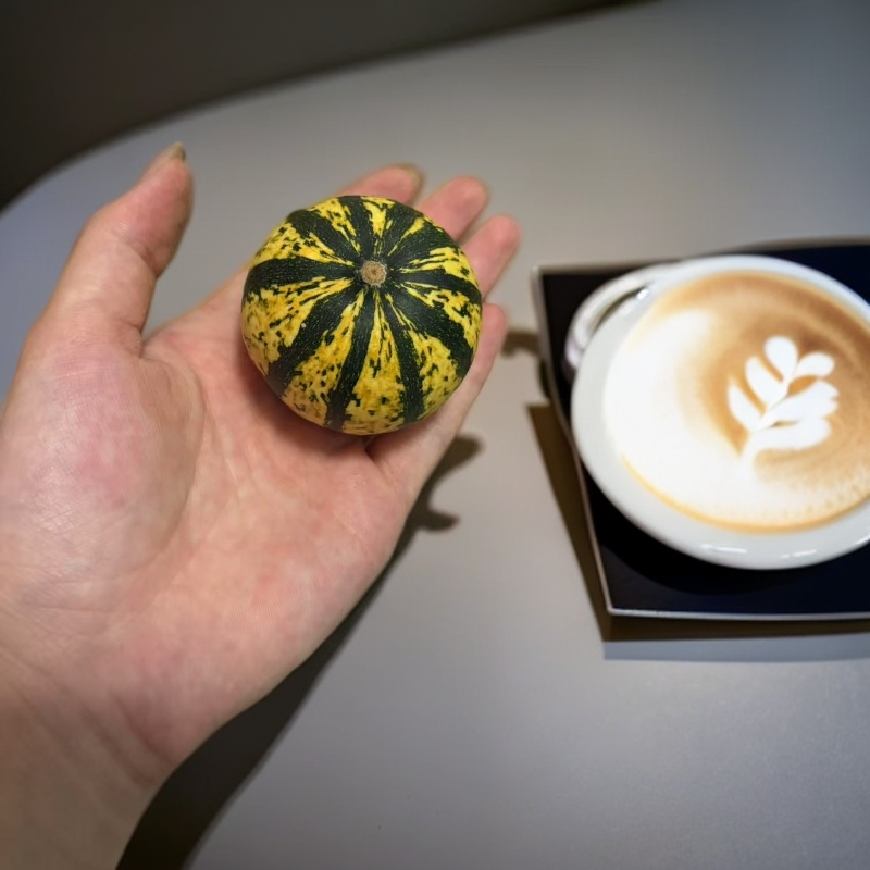 七彩疙瘩葫芦天然原皮原色可盘玩观赏手把件墨西哥葫芦