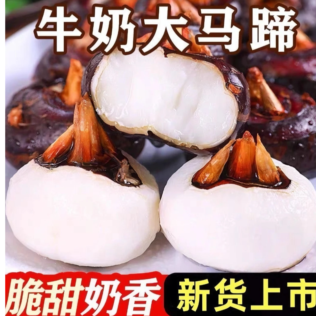 湖北新鲜水果马蹄荸荠地梨农家现挖红皮马蹄清甜脆甜爽口C
