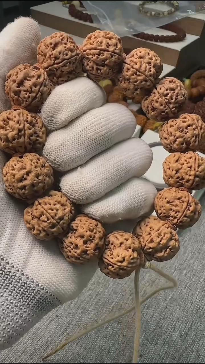 金刚菩提手串全品霸王龙22mm