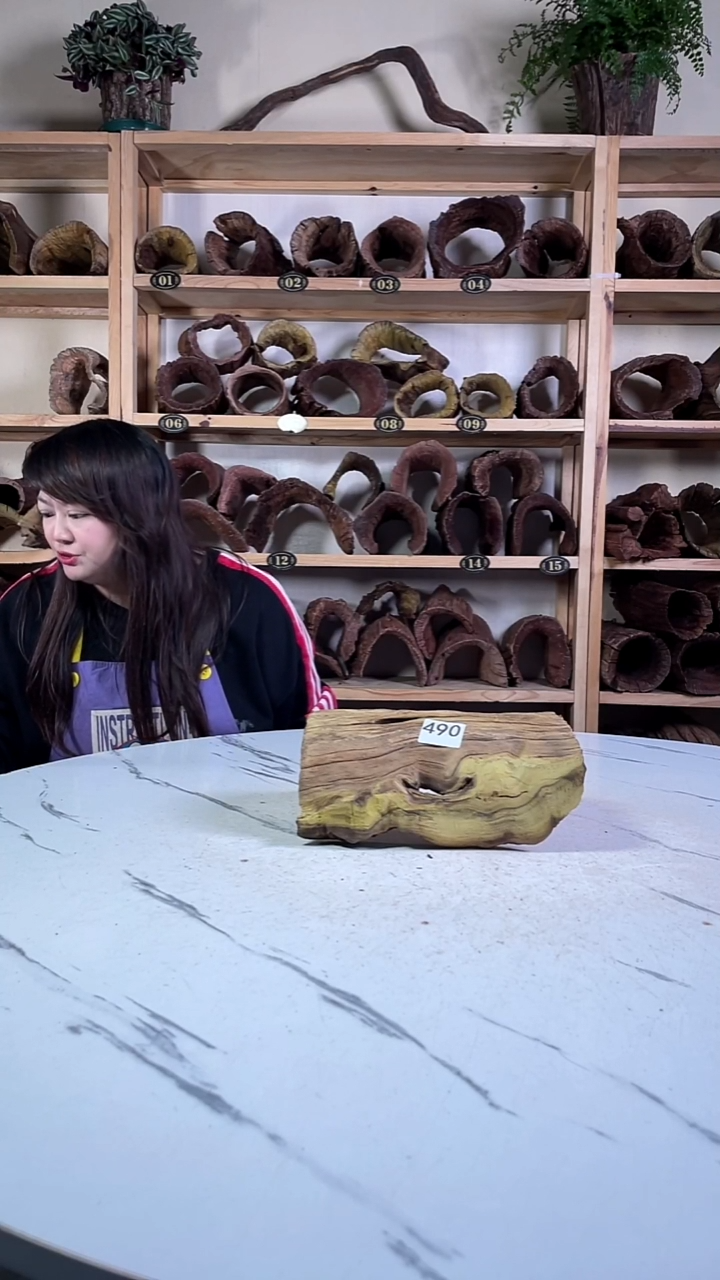 X?云南紫柚木造景沉木490