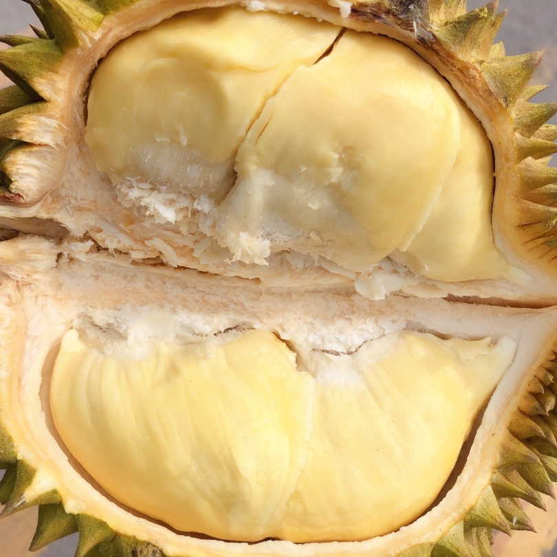 AA泰国金枕榴莲1-8kg核小新鲜榴莲【辨别生熟再开果】金枕泰国南部