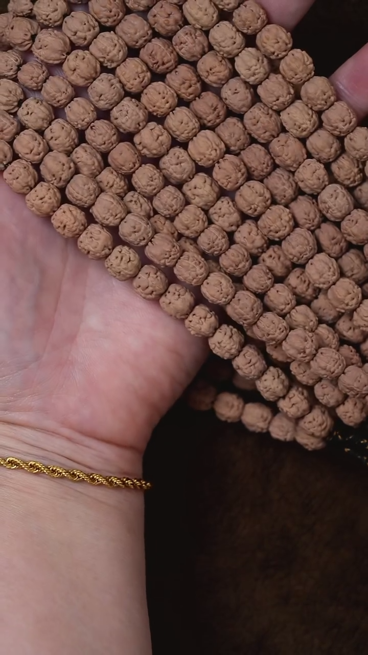 手串金刚菩提S04老树高桩佛手单圈